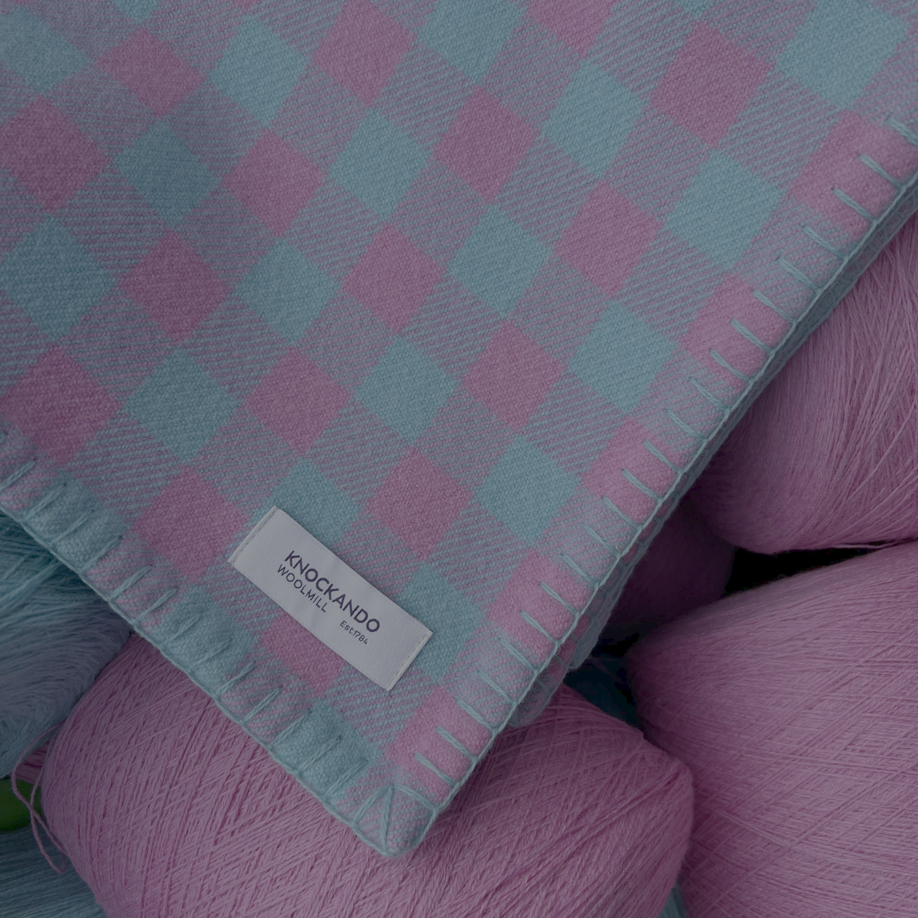 The Makers' Spring Check Blanket