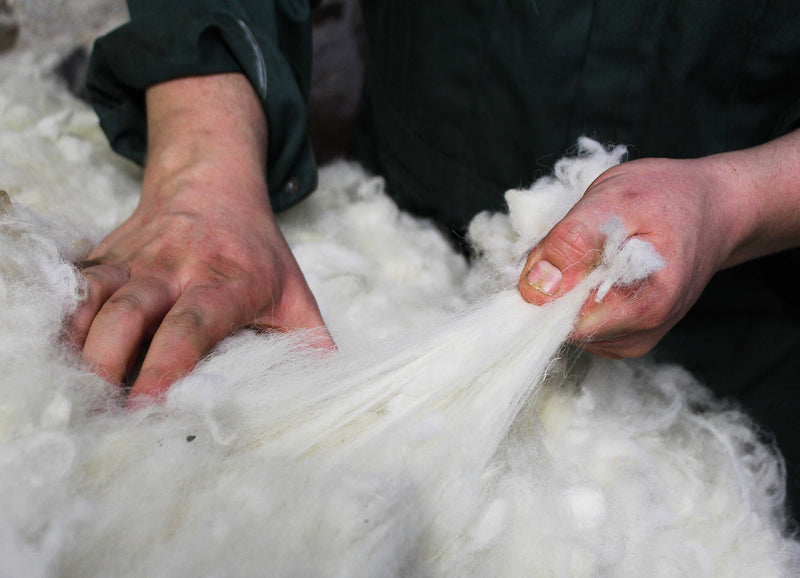 Work in Progress: North Country Cheviot Wool Yarn