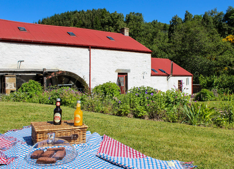 National Picnic Week: Top 5 Places to Enjoy a Picnic in Moray Speyside