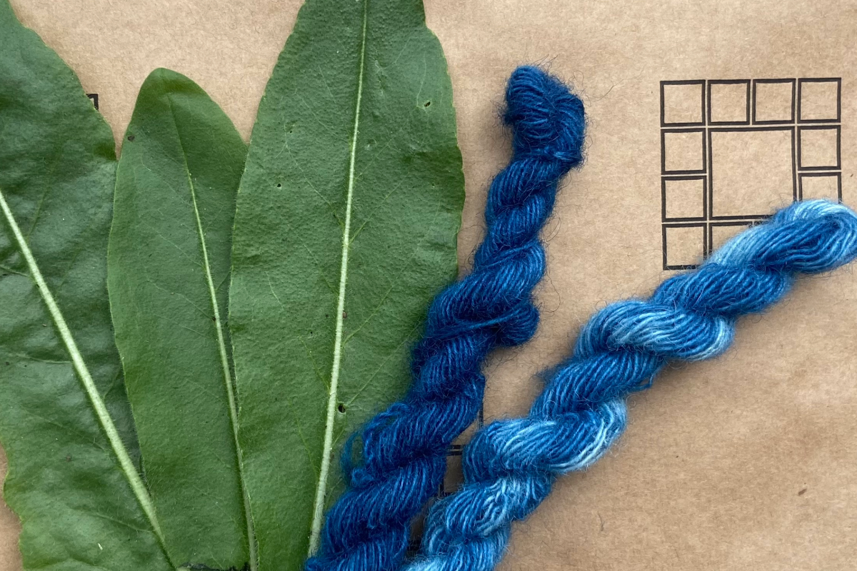 Natural Plant Dyeing with Woad
