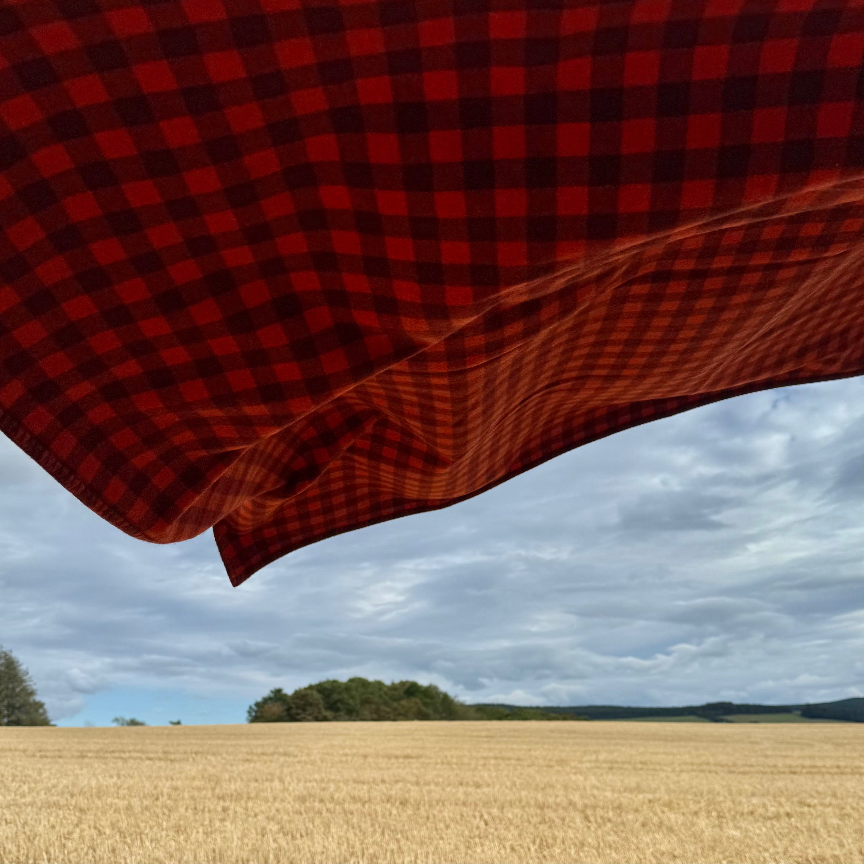 Malt Check Blanket