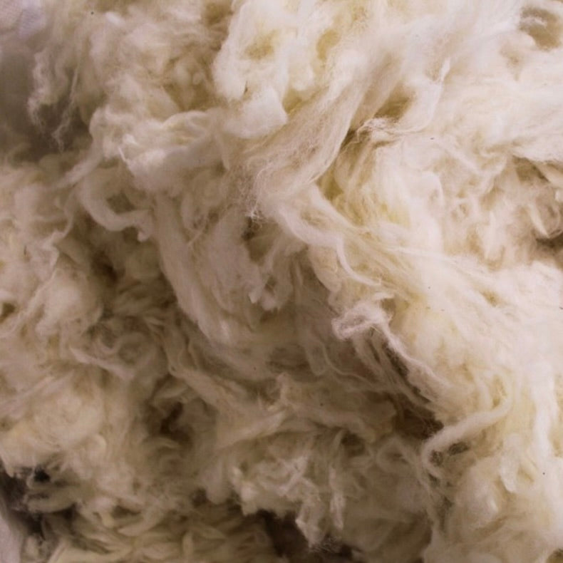 North Country Cheviot Yarn